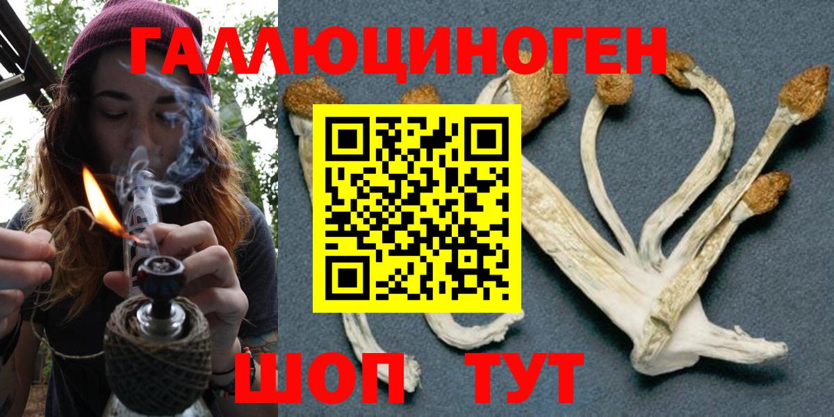 Галлюциногенные грибы Cubensis Нижний Тагил